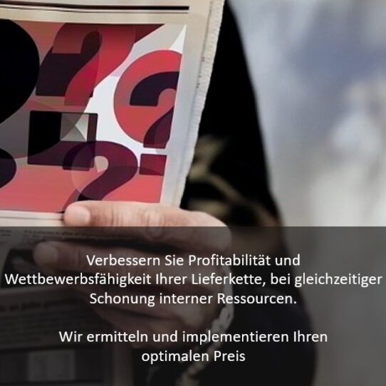 HDS Consulting_Bild2